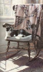 水粉大师Steve Hanks 320-The Cats Lair